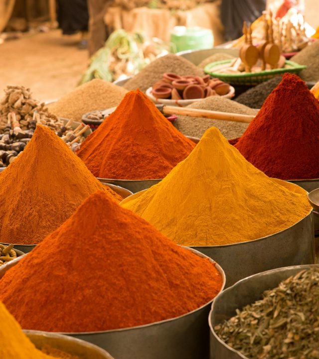 pexels mike van schoonderwalt 1884800 5504603